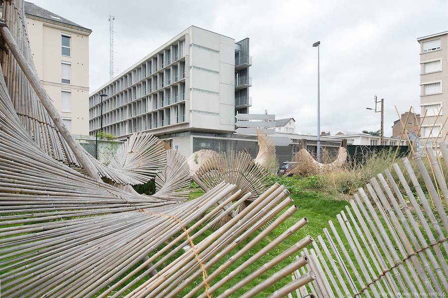JARDIN DES PLANTES LA CUISINE DE KINYA KINYA MARUYAMA