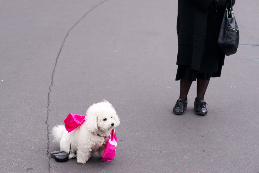 La "Manif pour Tous" - Manifestation contre le "mariage pour tou