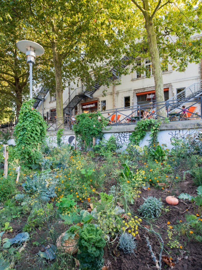 Jardin vivrier participatif de Simone Kroll, au lieu unique à Nantes.