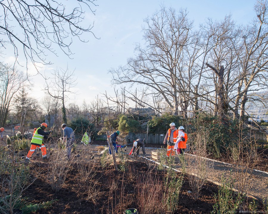 chantier du Parc zoologique de Vincennes (zoo de Vincennes) - 03