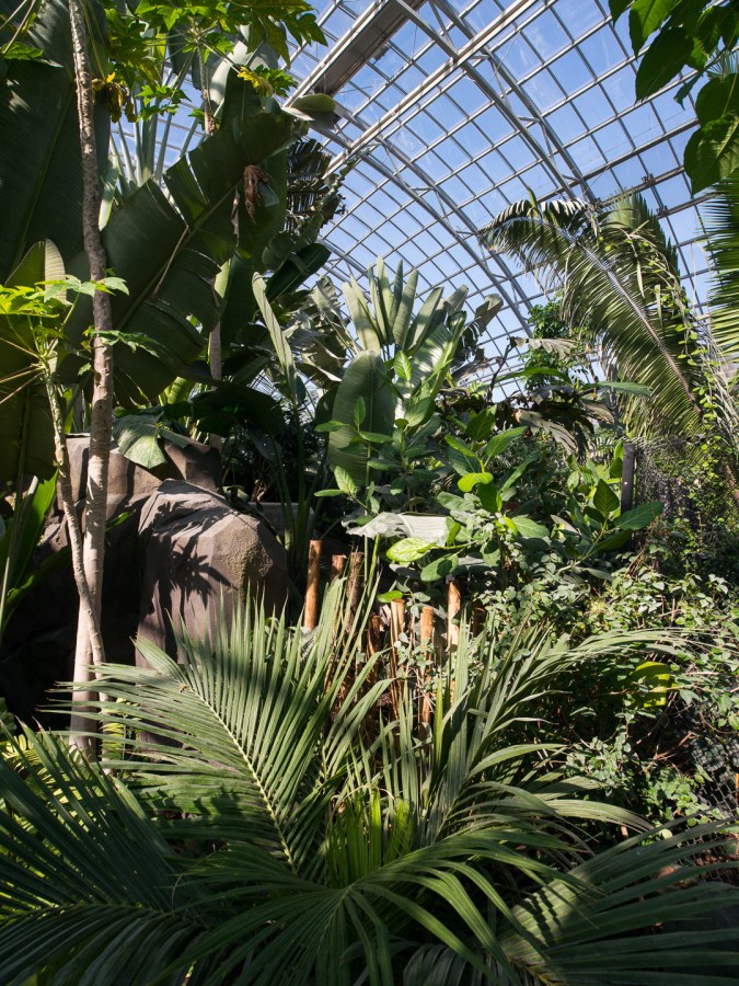 Parc zoologique de Vincennes (zoo de Vincennes) - 10/03/2014