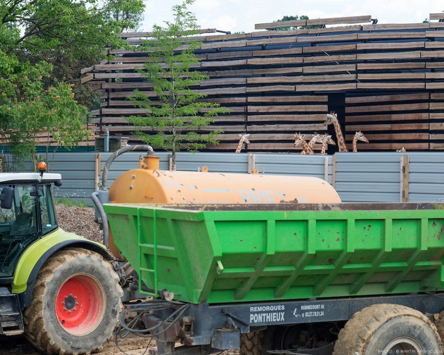 chantier du Parc zoologique de Paris (zoo de Vincennes) - 9/08/2013