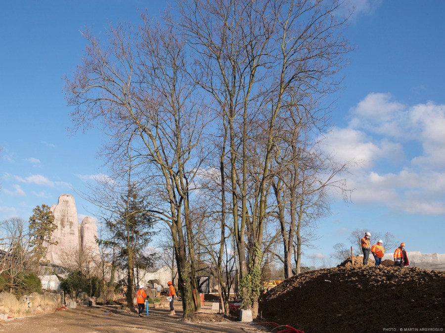 chantier du Parc zoologique de Paris (zoo de Vincennes) - 03/02/2014