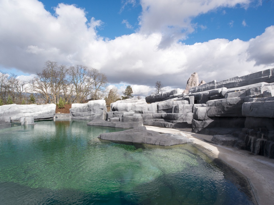 chantier du Parc zoologique de Paris (zoo de Vincennes) - 21/02/2014
