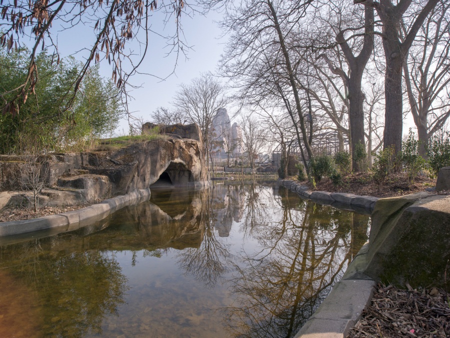 Parc zoologique de Paris (zoo de Vincennes) - 13/03/2014