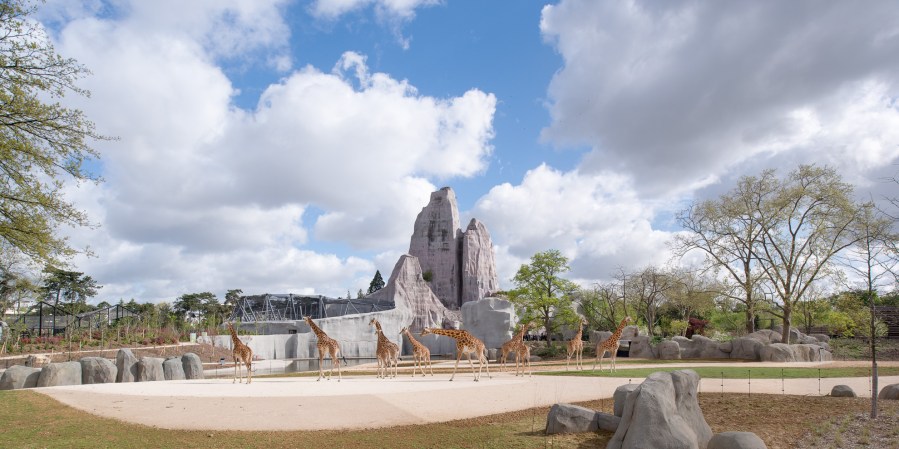 Parc zoologique de Paris (zoo de Vincennes) - 08/04/2014