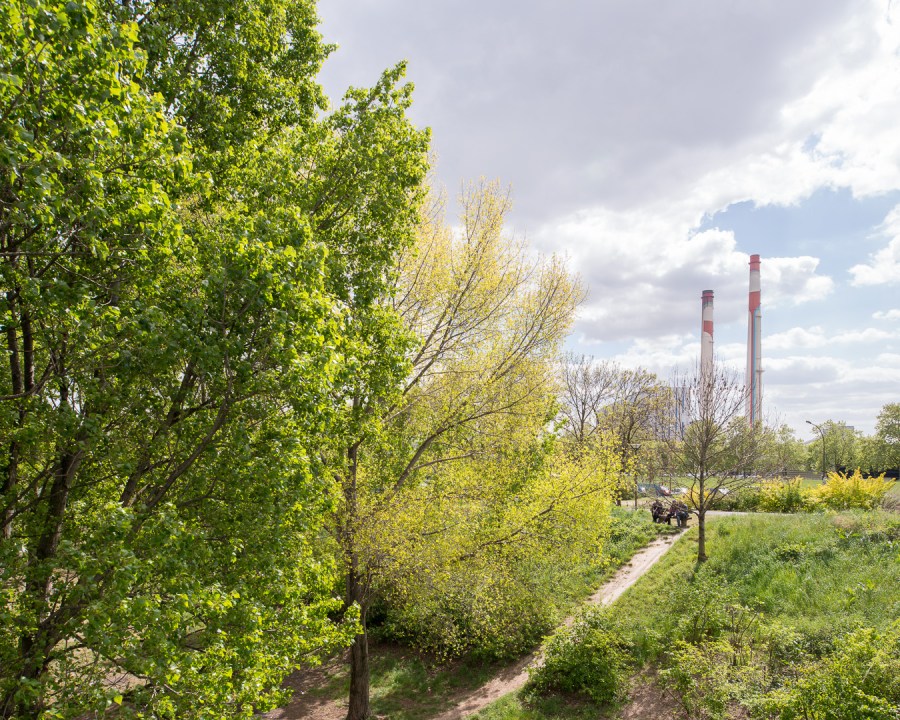 Bords de Seine - Vitry-sur-Seine, 2014