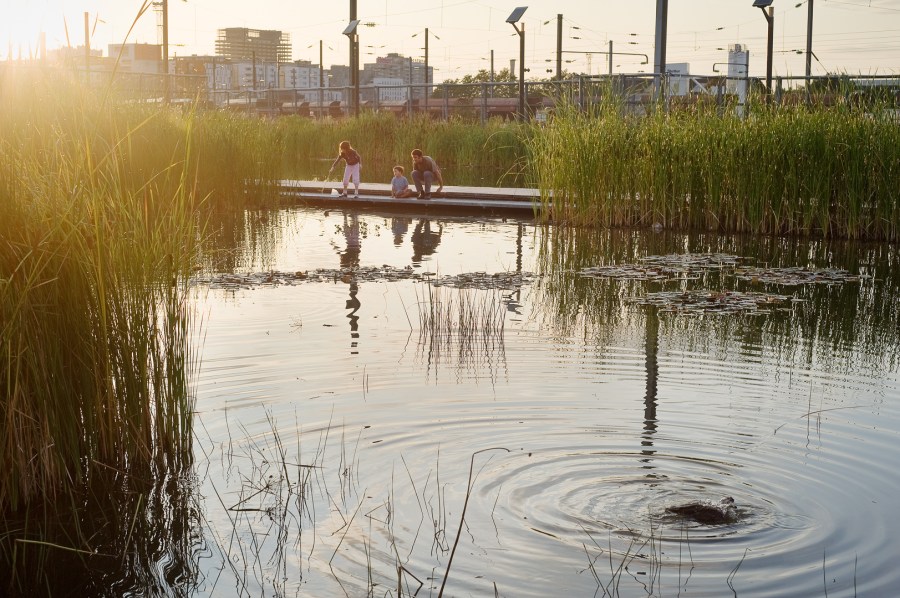 Parc Clichy-Batignolles - Martin Luther King