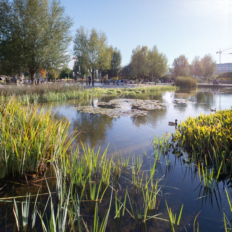 Parc Clichy-Batignolles - Martin Luther King, Paris, 2014. Pays